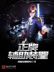 ���Ƹ���װ��