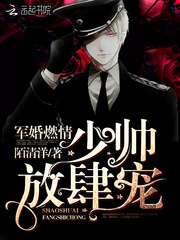 ����ȼ�飺��˧��������