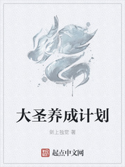 ��ʥ���ɼƻ�