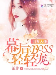 �����뻳��Ļ��BOSS�����